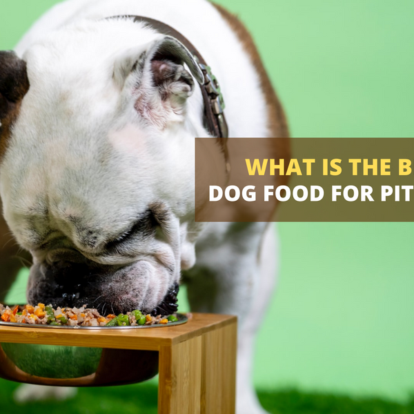 What is the Best Dog Food for Pit bulls SPARK PAWS