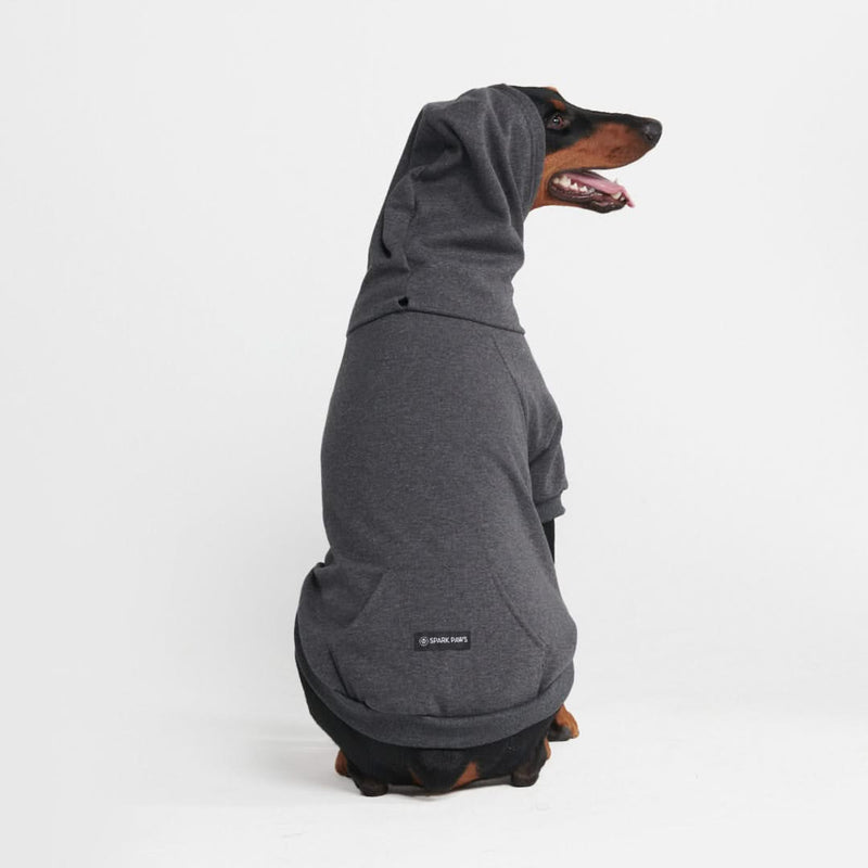 Sudadera Esencial para Perros - Gris Oscuro