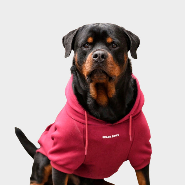 Sudadera Esencial para Perros - Burdeos