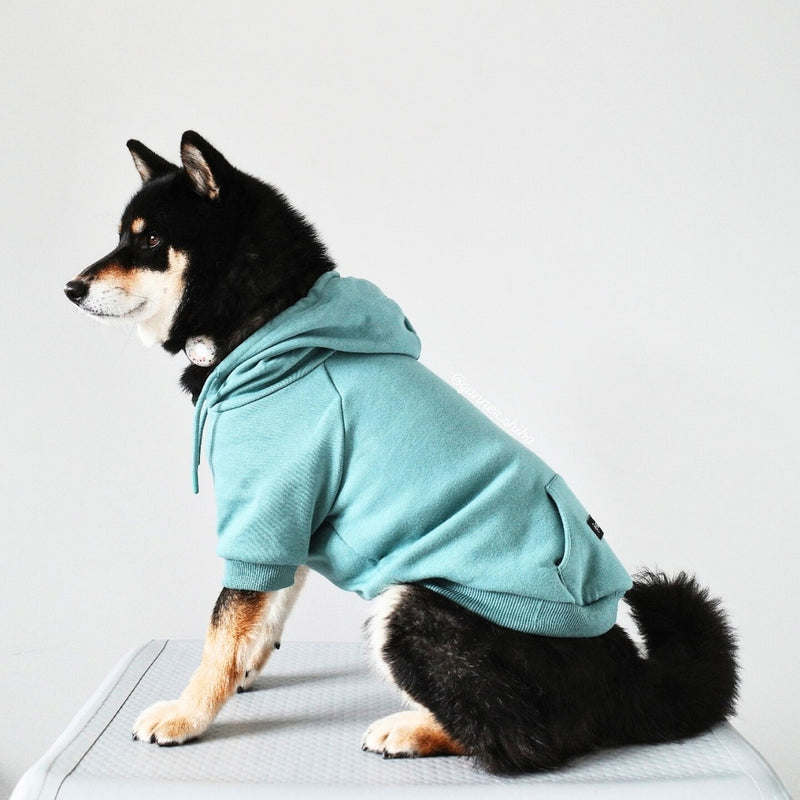 Sudadera Esencial para Perros - Verde Azulado