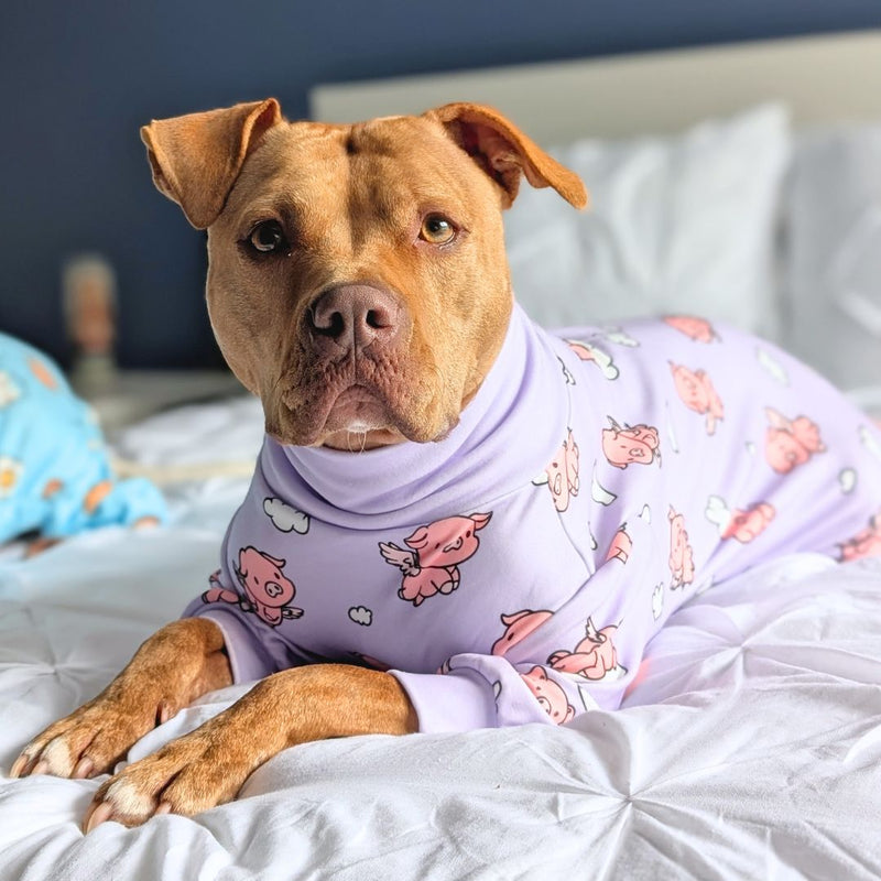 Pijama para Perro - Cuando los cerdos vuelan - Morado