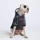 Sudadera con capucha para humano Grey Camo