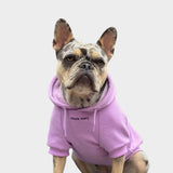 Sudadera Esencial para Perros - Orquídea