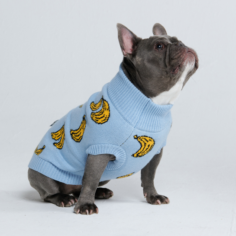 Suéter de punto para perro - Plátano