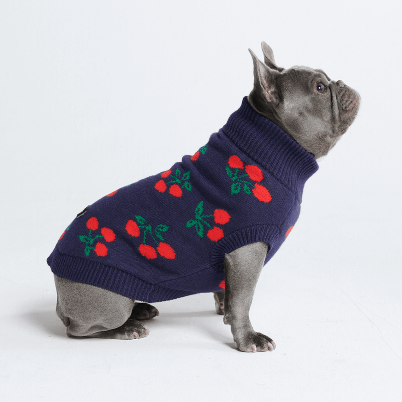 Cherries Dog Sweater