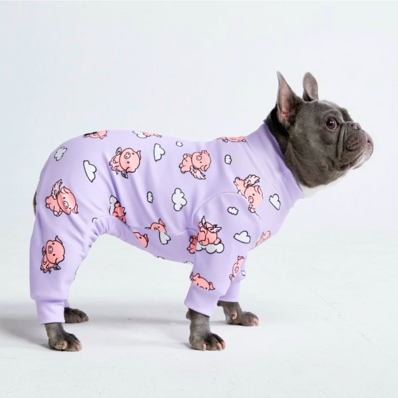 Pijama para Perro - Cuando los cerdos vuelan - Morado