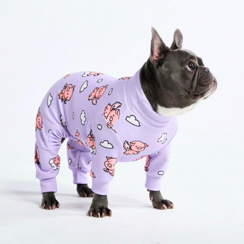 Pijama para Perro - Cuando los cerdos vuelan - Morado