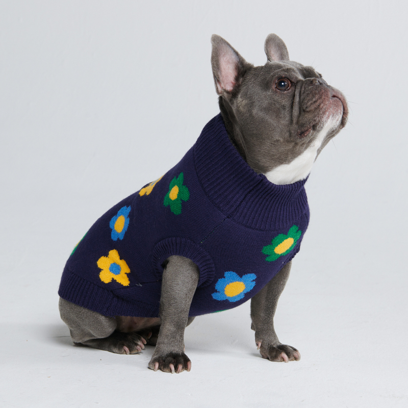 Suéter de punto para perro - Flores Azules Verdes Amarillas