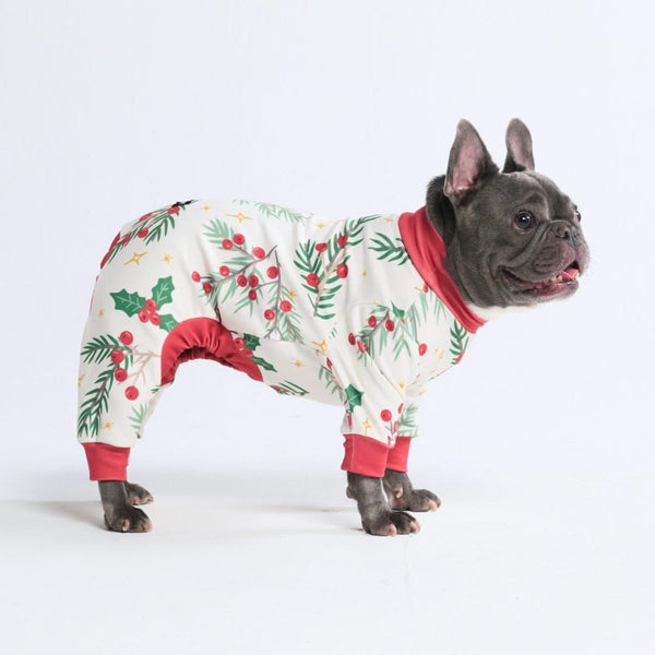 Pijama de Navidad para perro - Muérdago