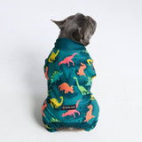 Pijama para perro - Dinosaurios