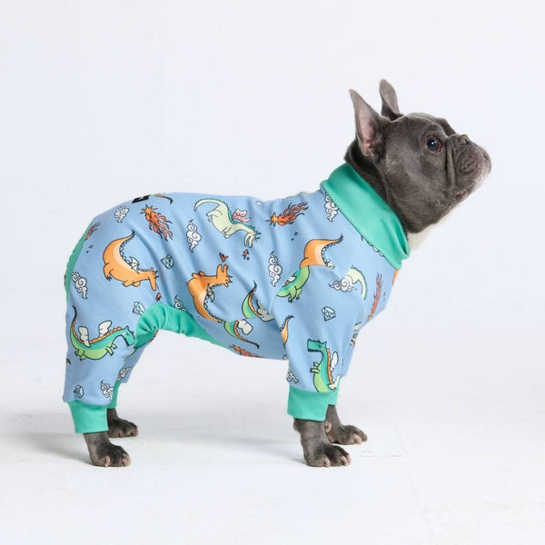 Pijama para perro - Dragones