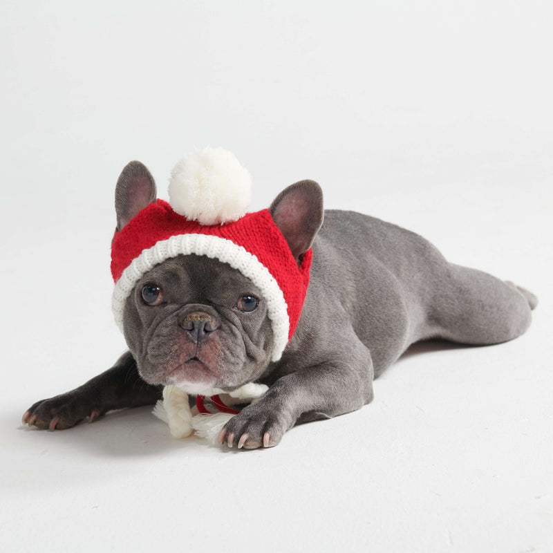 Gorro de punto con pompón para perro - Papá Noel