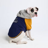 Chaqueta universitaria para perros - Azul y amarillo