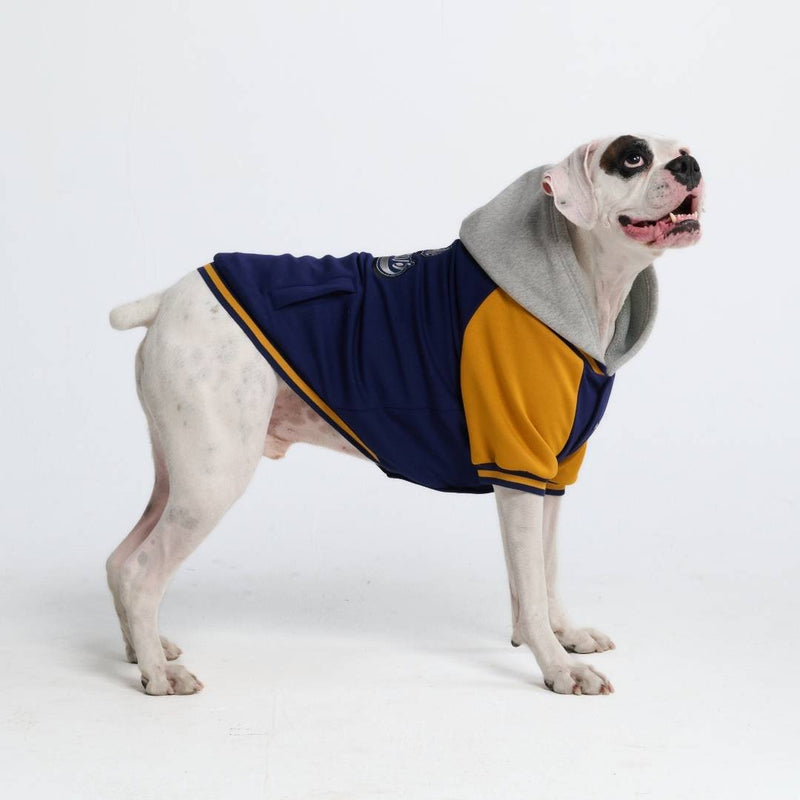 Chaqueta universitaria para perros - Azul y amarillo