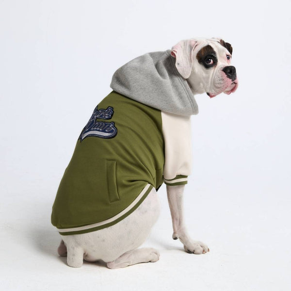 Chaqueta universitaria para perros - Verde