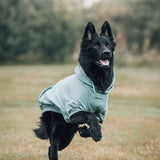 Sudadera Esencial para Perros - Verde Azulado