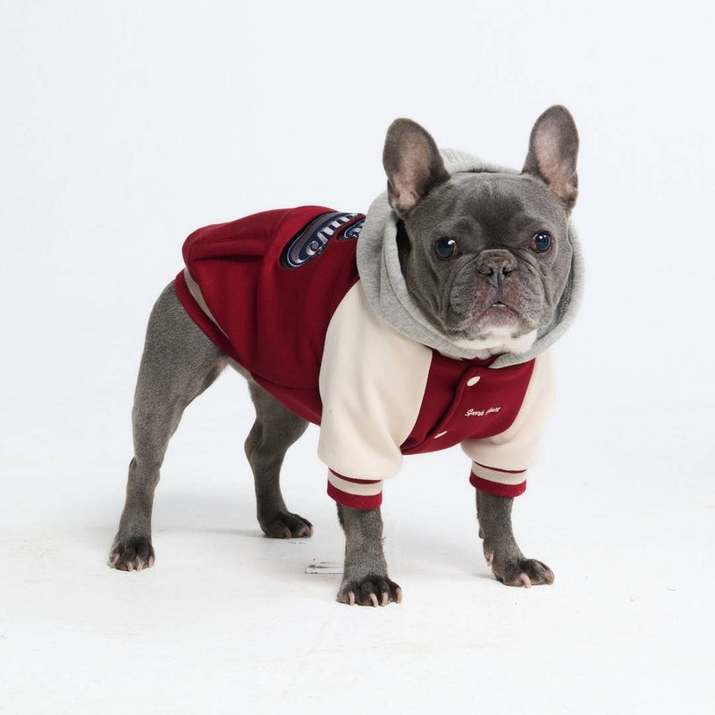 Chaqueta universitaria para perros - Rojo