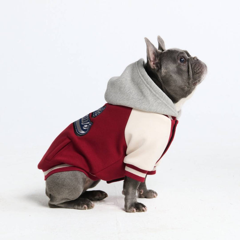 Chaqueta universitaria para perros - Rojo