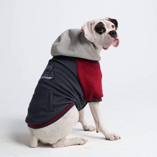 Chaqueta universitaria para perros - Gris rojo