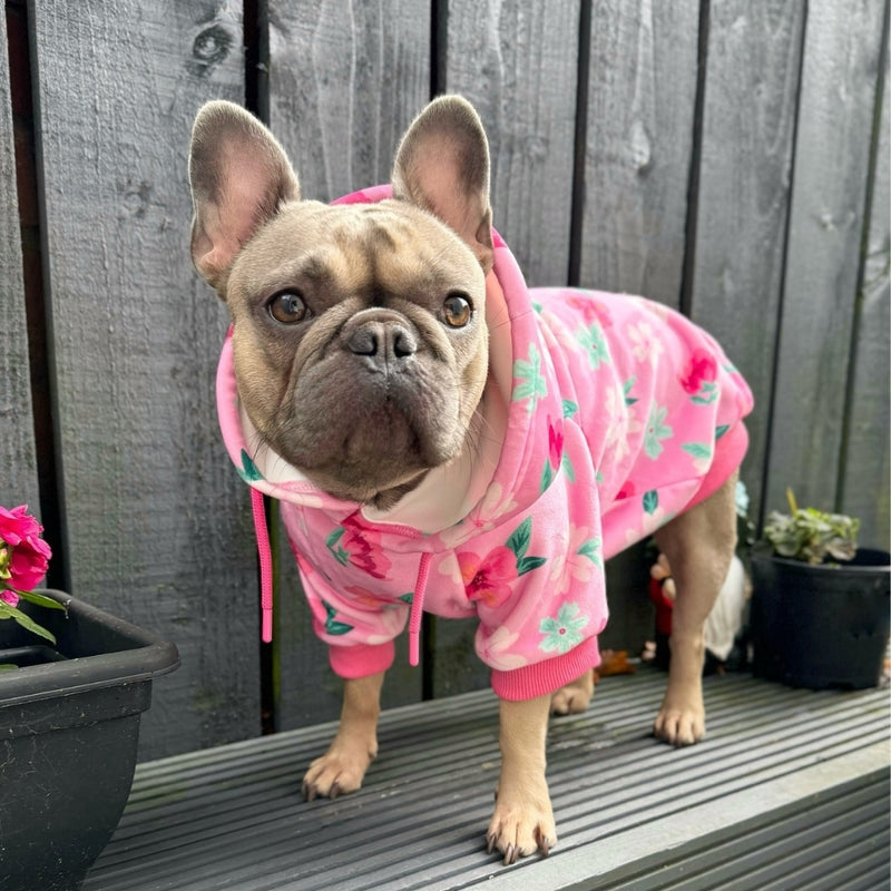 Blossom Sudadera para Perro - Rosa