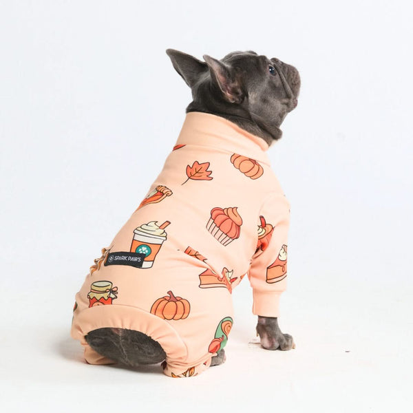 Pijama para Perros - Especias de calabaza