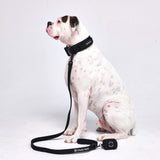 Black Neoprene Leash