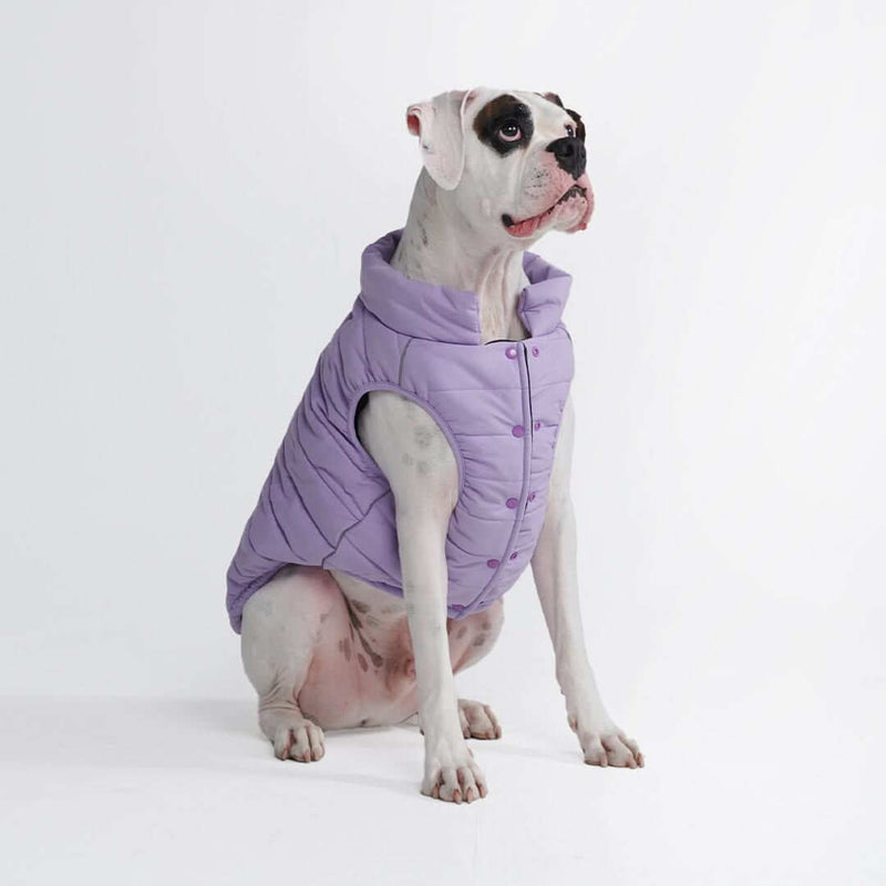 Lilac Warmshield Jacket