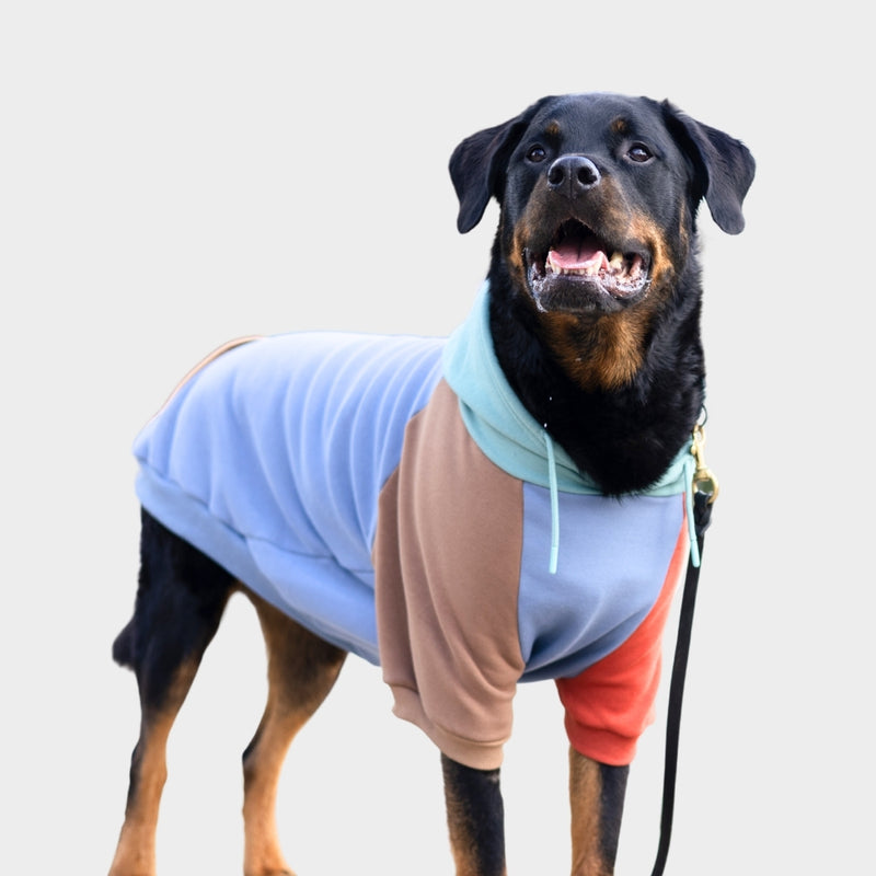 Sudadera para Perros - Alpino