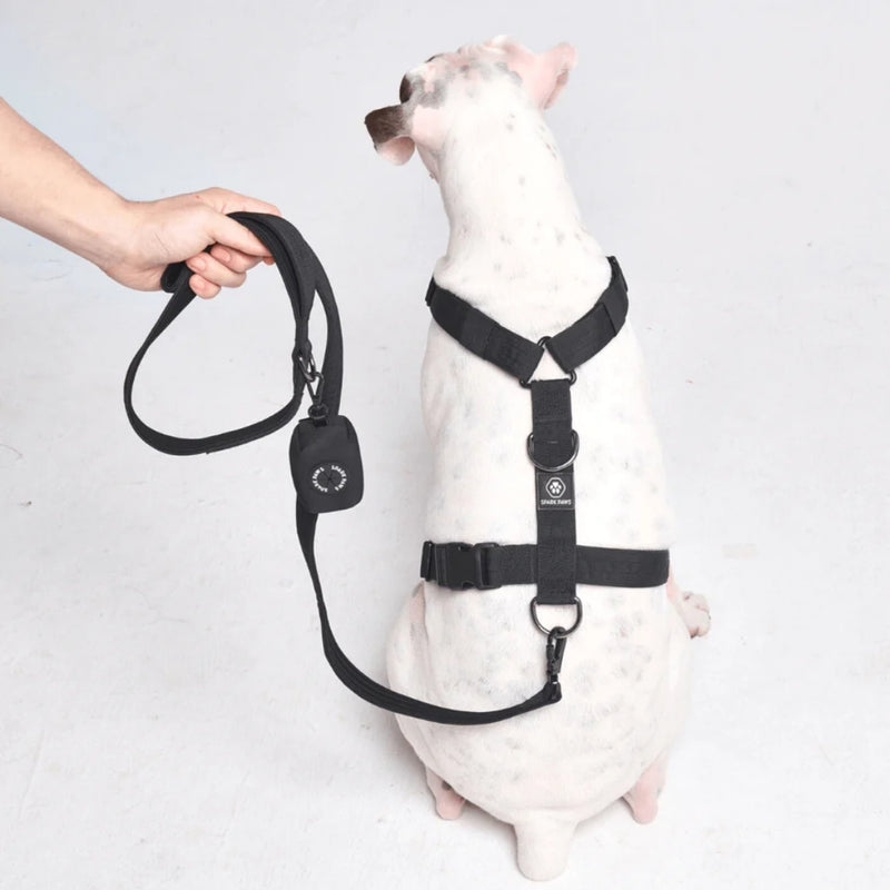 Black Neoprene Leash