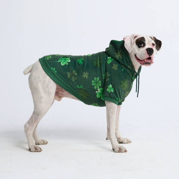 Sudadera con capucha para perro St. Patty's - Verde oscuro