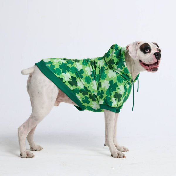 Sudadera con capucha para perro St. Patty's - Tréboles