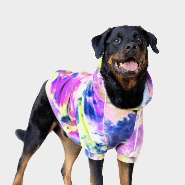 Sudadera de Terciopelo para Perros - Limonada de Baya