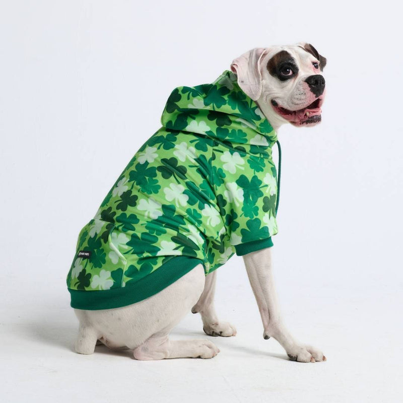 Sudadera con capucha para perro St. Patty's - Tréboles