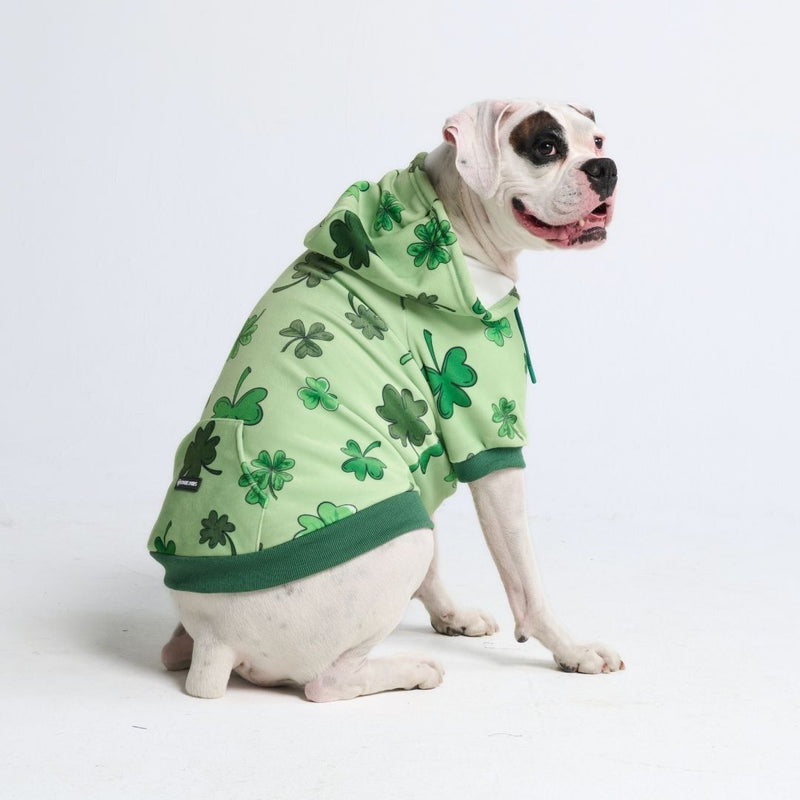 Sudadera con capucha para perro St. Patty's - Verde claro