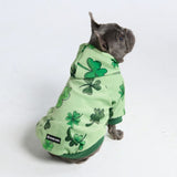 Sudadera con capucha para perro St. Patty's - Verde claro