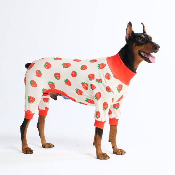 Pijama para Perros - Fresas