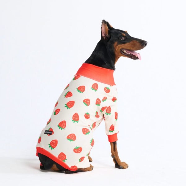 Pijama para Perros - Fresas