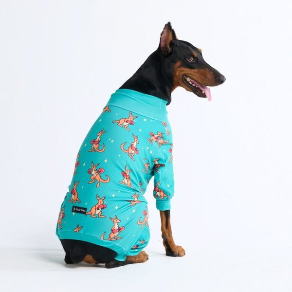 Pijama para Perro - Canguro Boxeo - Azul