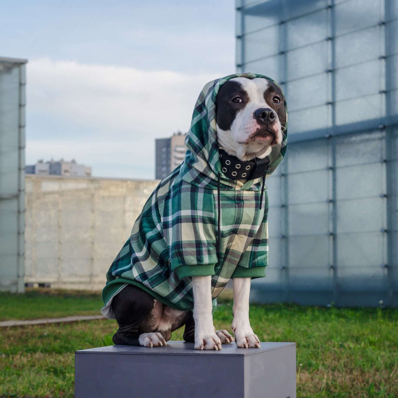 Green Plaid Hoodie