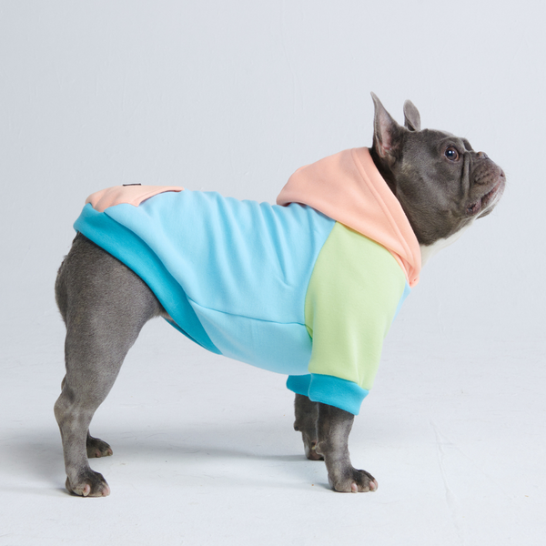 Jelly Bean Sudadera para Perro