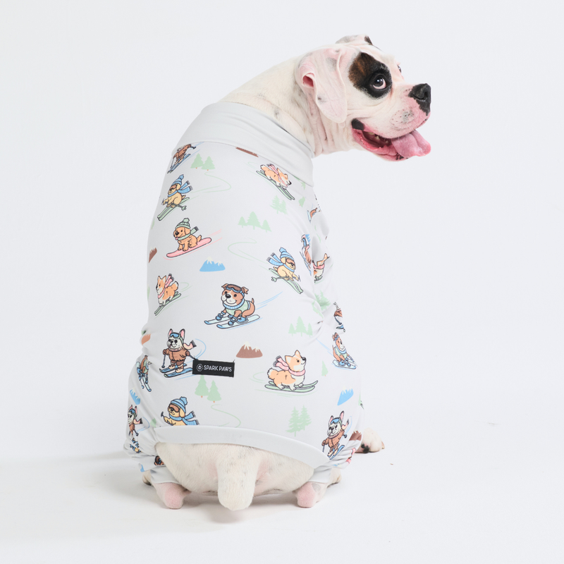 Pijama para Perro - Ski Pup