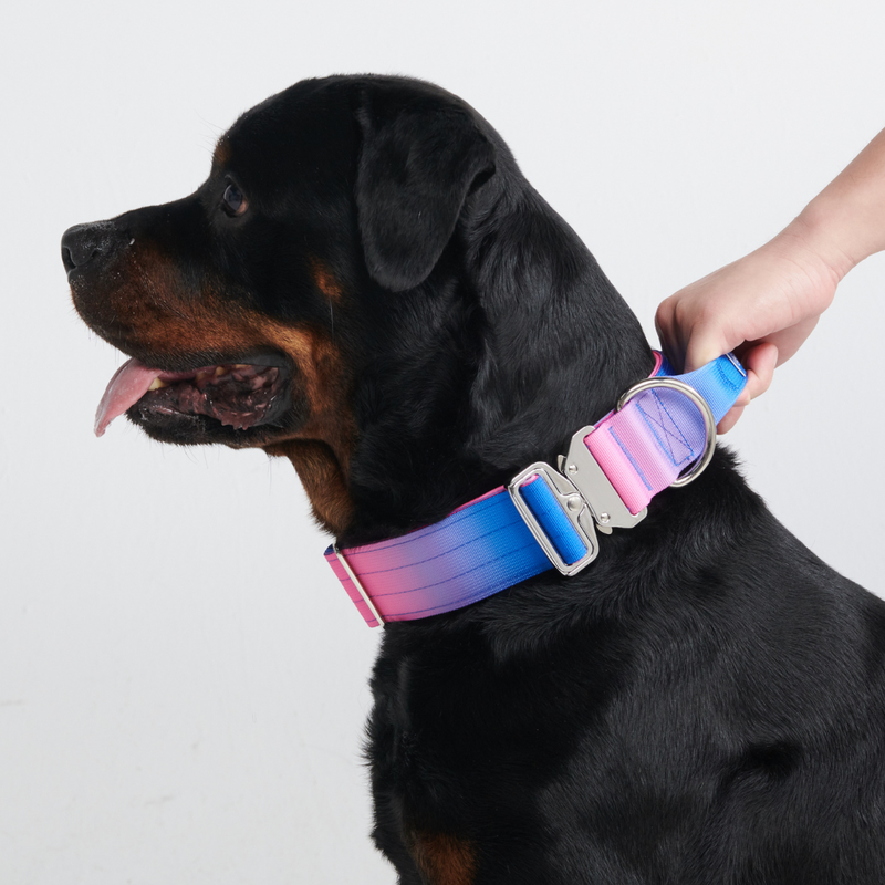 Collar táctico para perros - Cono de nieve