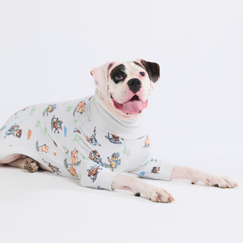 Pijama para Perro - Ski Pup