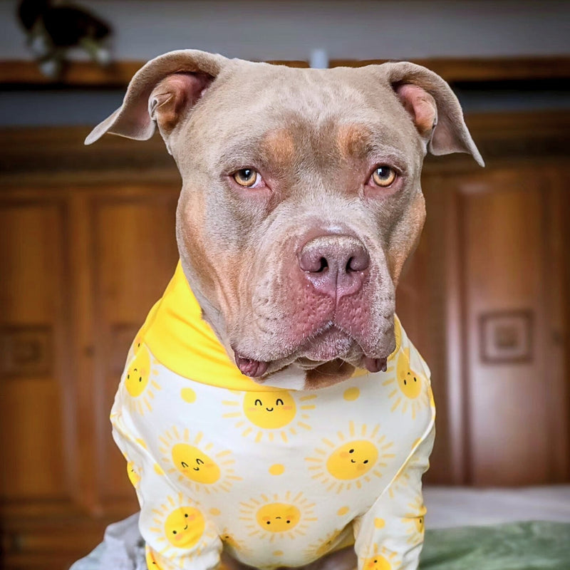 Pijama para Perros - Sol