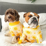 Pijama para Perros - Sol