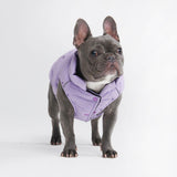 Chaqueta impermeable WarmShield™ - Lila