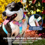 Juego de arneses para perros Comfort Control No-Pull - Pastel Icing