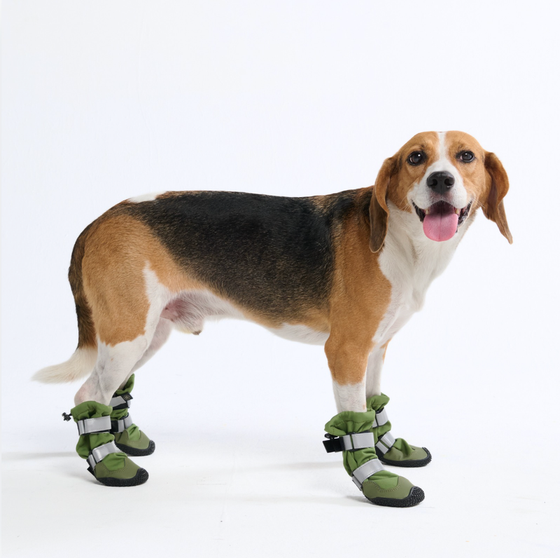 Botas para perros resistentes al agua con estructura flexible - Verde