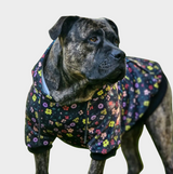 Sudadera Vintage Flower para Perro - Negro