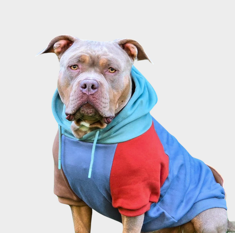 Alpine Sudadera para Humano